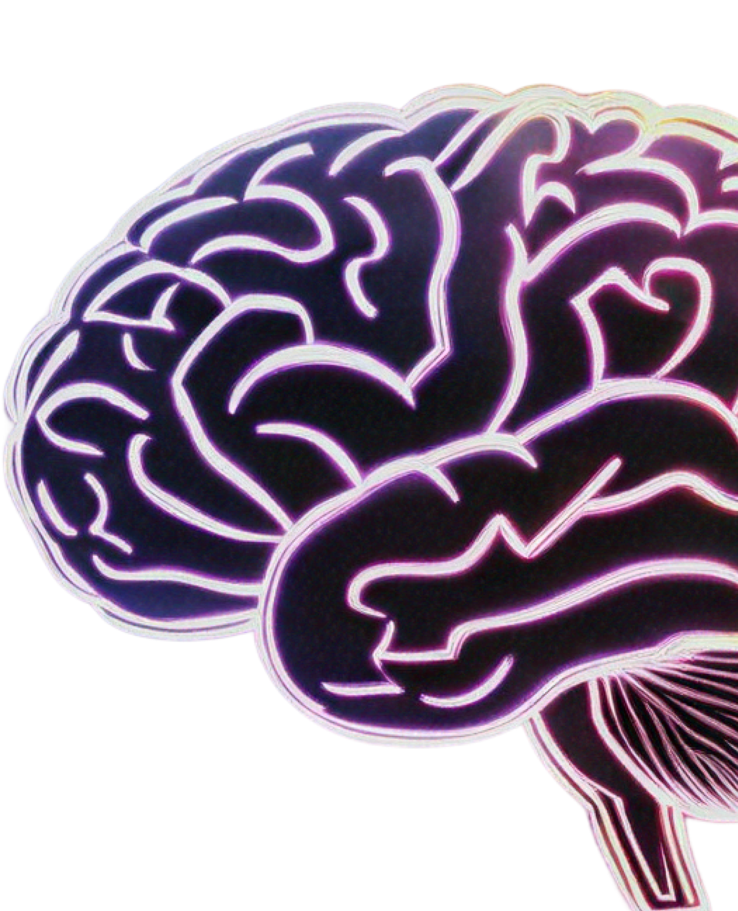 3D Brain Visualization